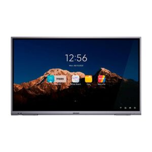 Pantalla Interactiva 4K De 65 Pulgadas DS-D5B65RB/A